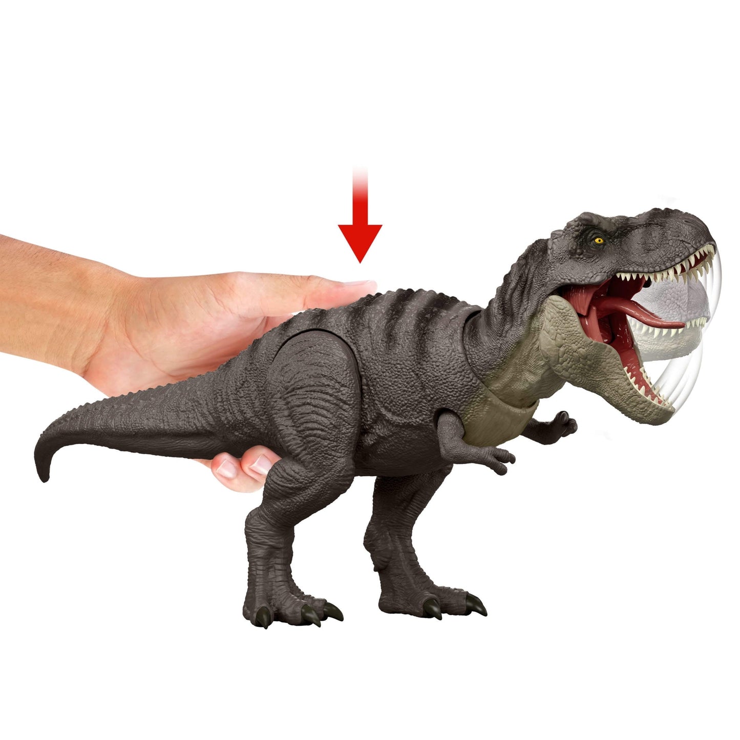 Jurassic World Rebirth Tyrannosaurus Rex Action Figure, Dinosaur Toy, T-Rex Chomp Attack