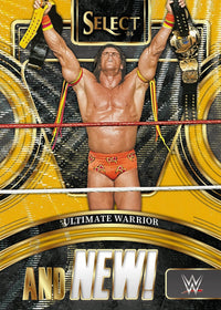 2024 Panini Select WWE Wrestling International Hobby Box