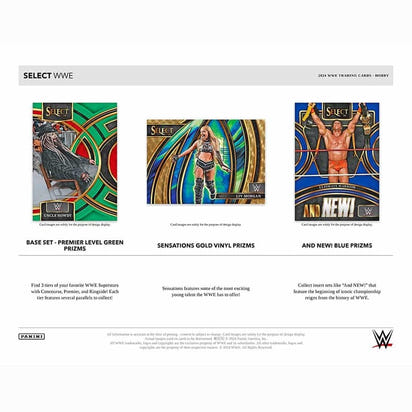 2024 Panini Select WWE Wrestling Hobby Box